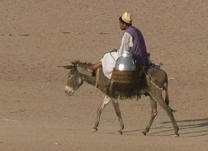 Poudniowy Sudan