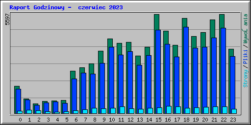 Raport Godzinowy -  czerwiec 2023