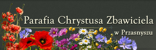 Parafia Chrystusa Zbawiciela w Przasnyszu