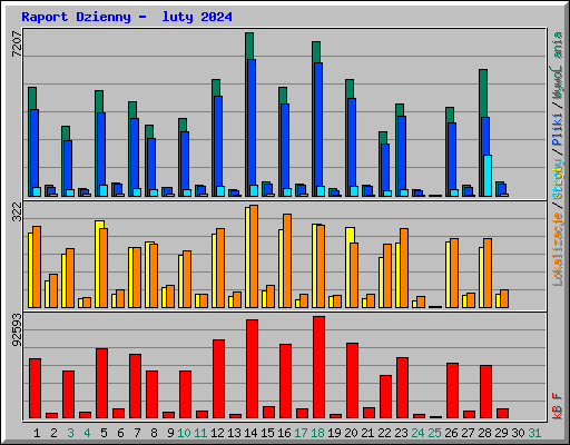 Raport Dzienny -  luty 2024