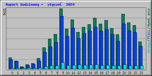 Raport Godzinowy -  styczeń 2024
