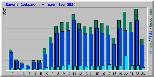 Raport Godzinowy -  czerwiec 2024