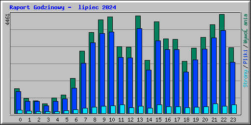 Raport Godzinowy -  lipiec 2024