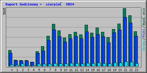 Raport Godzinowy -  sierpień 2024