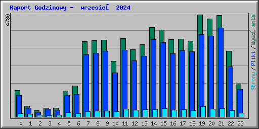 Raport Godzinowy -  wrzesień 2024