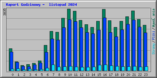 Raport Godzinowy -  listopad 2024