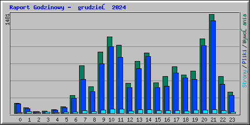 Raport Godzinowy -  grudzień 2024